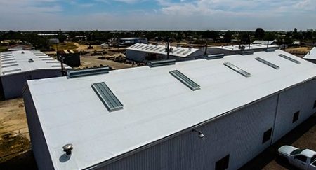 A large white flat commercial roof with raised skylight frames on an industrial building.